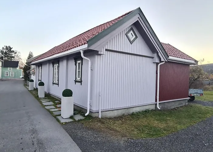 Lite - Sentralt Koselig * Kongsberg
